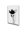 Wall Art Canvas Paintings Set of 4 Gold Frame