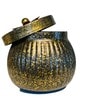 Monsoon Lilly Multicolor Metal Storage Jar