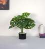 Artificial Monstera Plant 55Cm