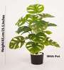 Artificial Monstera Plant 65Cm