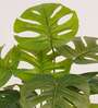 Artificial Monstera Plant 65Cm