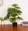 Artificial Monstera Plant 65Cm