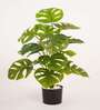 Artificial Monstera Plant 65Cm