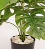Artificial Monstera Plant 65Cm