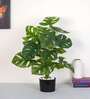 Artificial Monstera Plant 65Cm