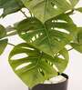 Artificial Monstera Plant 65Cm