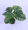 Artificial Monstera Plant with Black Pot