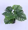 Artificial Monstera Plant with Black Pot