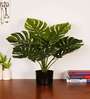 Artificial Monstera Plant with Black Pot