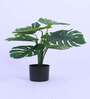 Artificial Monstera Plant with Black Pot