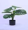Artificial Monstera Plant with Black Pot