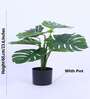 Artificial Monstera Plant with Black Pot