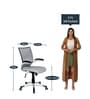 Monte Ergonomic Chair In Grey Colour