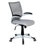 Monte Ergonomic Chair In Grey Colour