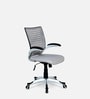 Monte Ergonomic Chair In Grey Colour
