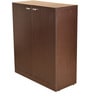 Monza 2 Door Shoe Cabinet in Brown Colour