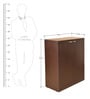 Monza 2 Door Shoe Cabinet in Brown Colour