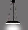 Fegan Black Metal LED Ceiling Lights