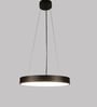 Fegan Black Metal LED Ceiling Lights