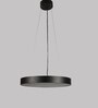 Fegan Black Metal LED Ceiling Lights
