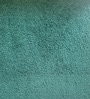 Moonrise Kids Twin Bed In Green Colour