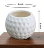 White Moonstone Dimpled Ceramic Planter Pot for Indoor & Outoor Plants