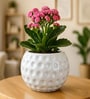 White Moonstone Dimpled Ceramic Planter Pot for Indoor & Outoor Plants