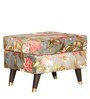 Morgen Wing Chair with Ottoman in Multi Colour