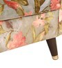 Morgen Wing Chair with Ottoman in Multi Colour