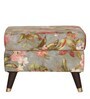 Morgen Wing Chair with Ottoman in Multi Colour