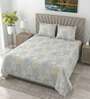 Morning Sky Metro 186 TC Cotton King Bedsheet With 2 Pillow Covers
