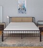 Morpheus King Size Bed in Shell Wine Red Colour