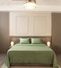 Moss 400TC  Solid Embroidery Superking Bedsheet with 2 Pillow Covers