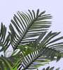 Artificial Moss Areca Palm Tree Plant with Black Pot