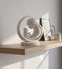 Mother Baby Moon Showpiece