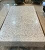 Cleo Mother of Pearl Coffee Table in White Finish