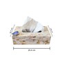 Mother of Pearl Blue Stone Tissue Box