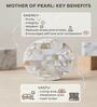 Mother Of Pearl Will Work For Travel Showpiece With Metal Stand