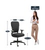 Motion Fabric Ergonomic Chair in Carbon Black Colour