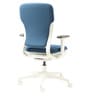 Motion Ergonomic Chair in Blue & White Color