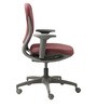 Motion Mid Back Ergonomic Chair in Burnt Russet & Grey Colour