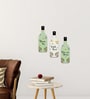 Set of 3  Bottle Shape Wooden Wall Hanging