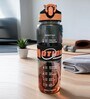 Motivational Sipper Water Bottle with Capacity Markings & Silicone Grip, 700 ml