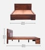 Mourya Queen Size Bed Without Storage In Brown color