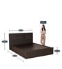 Mozart Queen Size Bed with Box Storage in New Wenge Finish