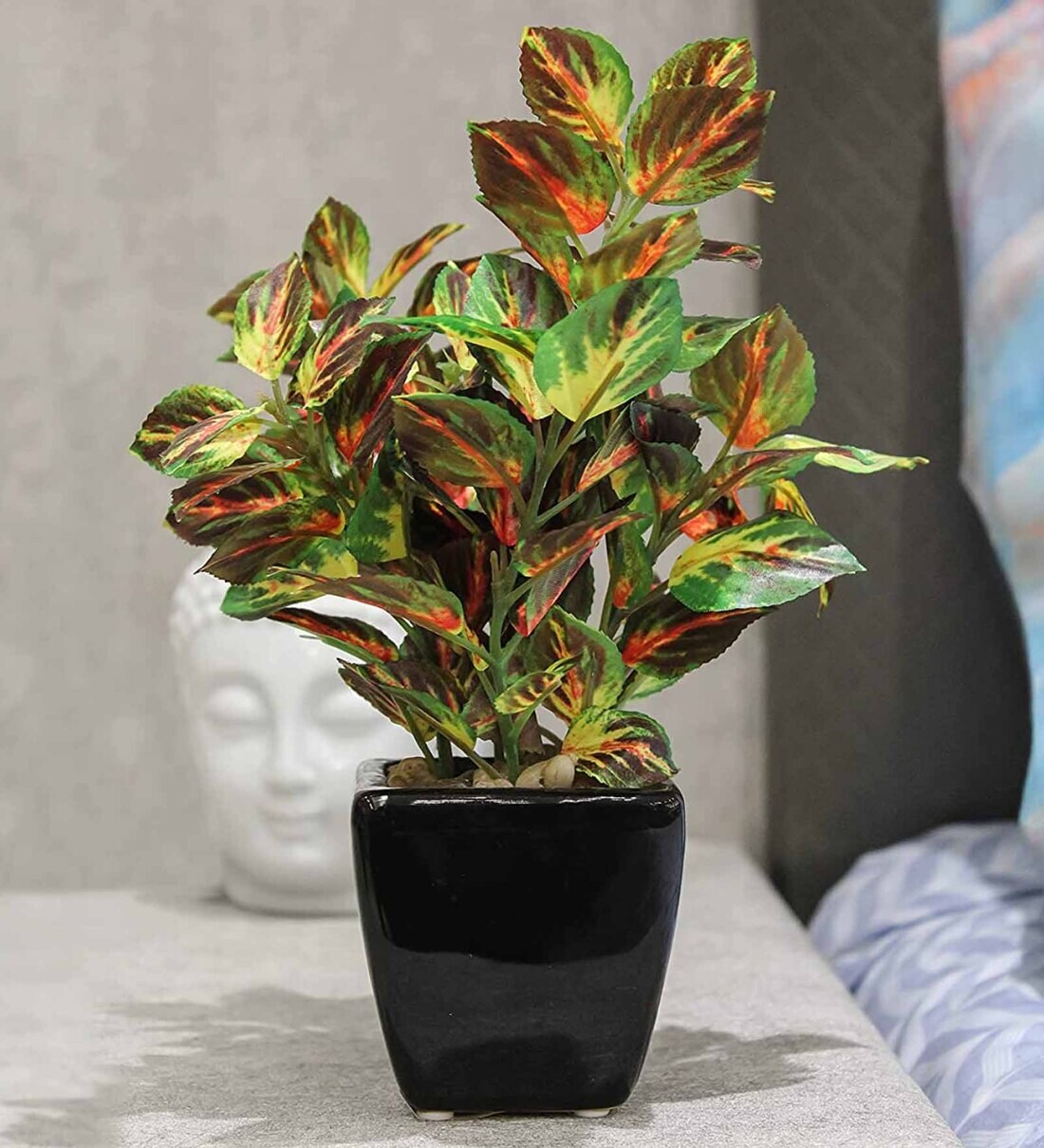 Buy Pvc Multicolour Coleus Bonsai With Black Ceramic Pot Artificial ...