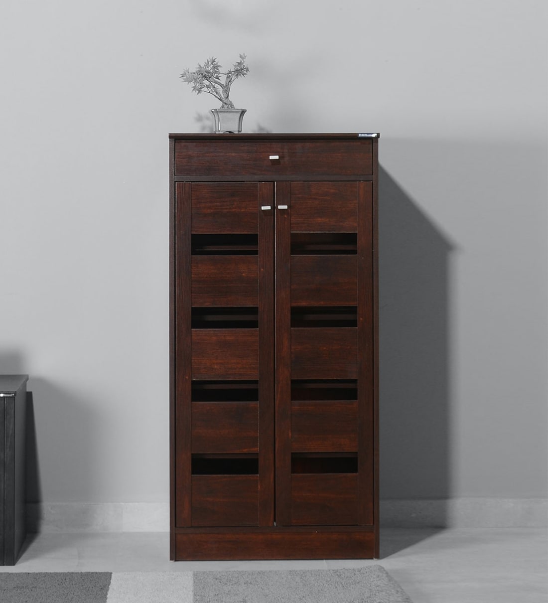 Buy Murano 2 Door Shoe in Walnut Finish by Nilkamal Online Modern Shoe Shoe