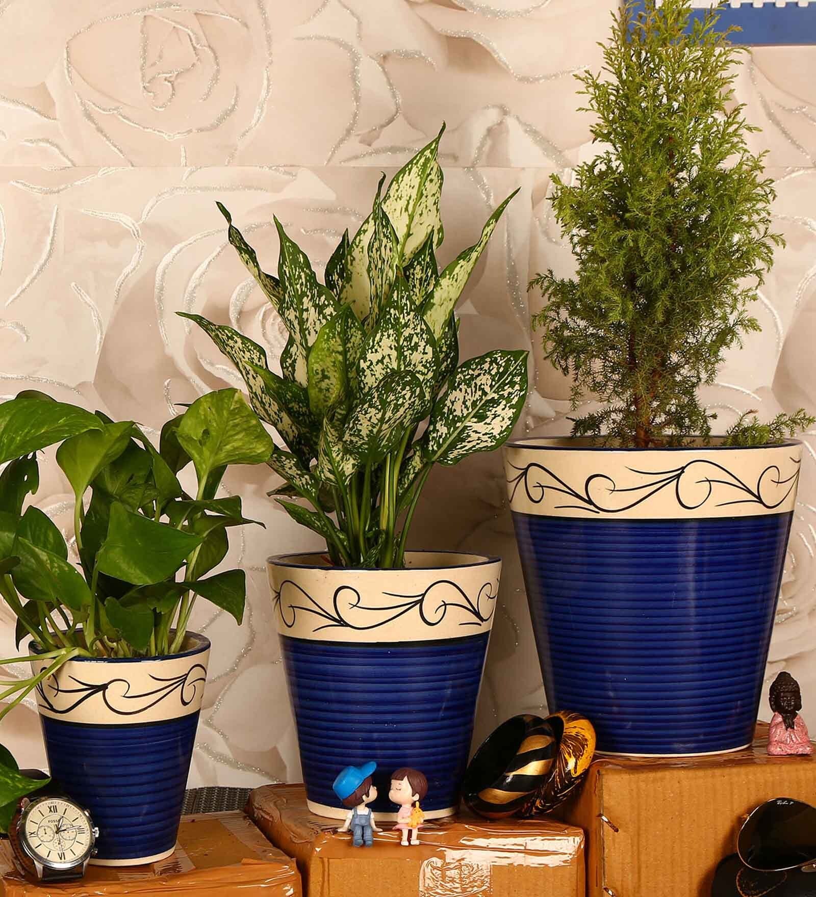Multicolor Ceramic Balti Shape Flower Pot with with Hook Lines Print, Set of 3