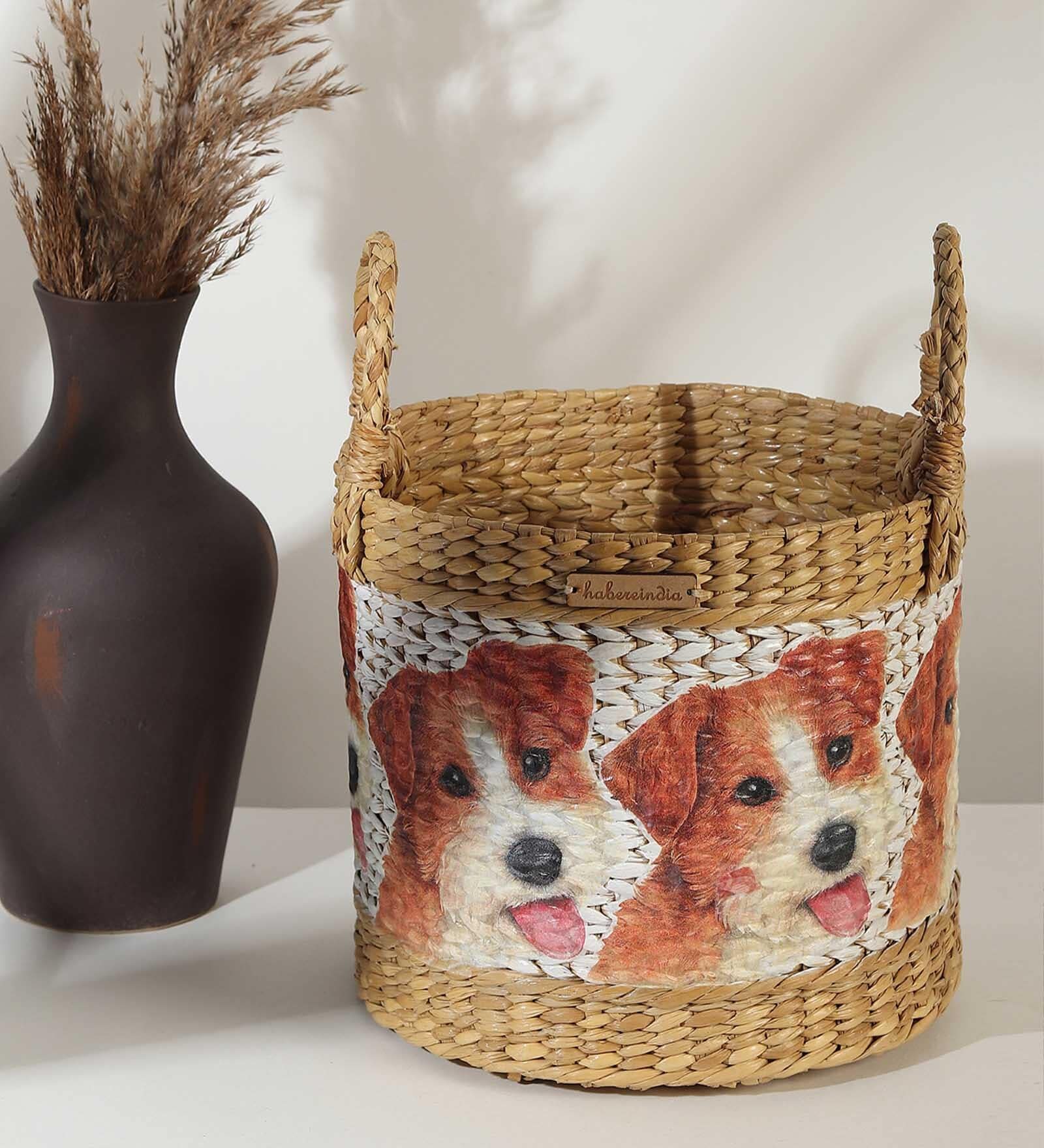 Multicolor Fibre Plant Basket