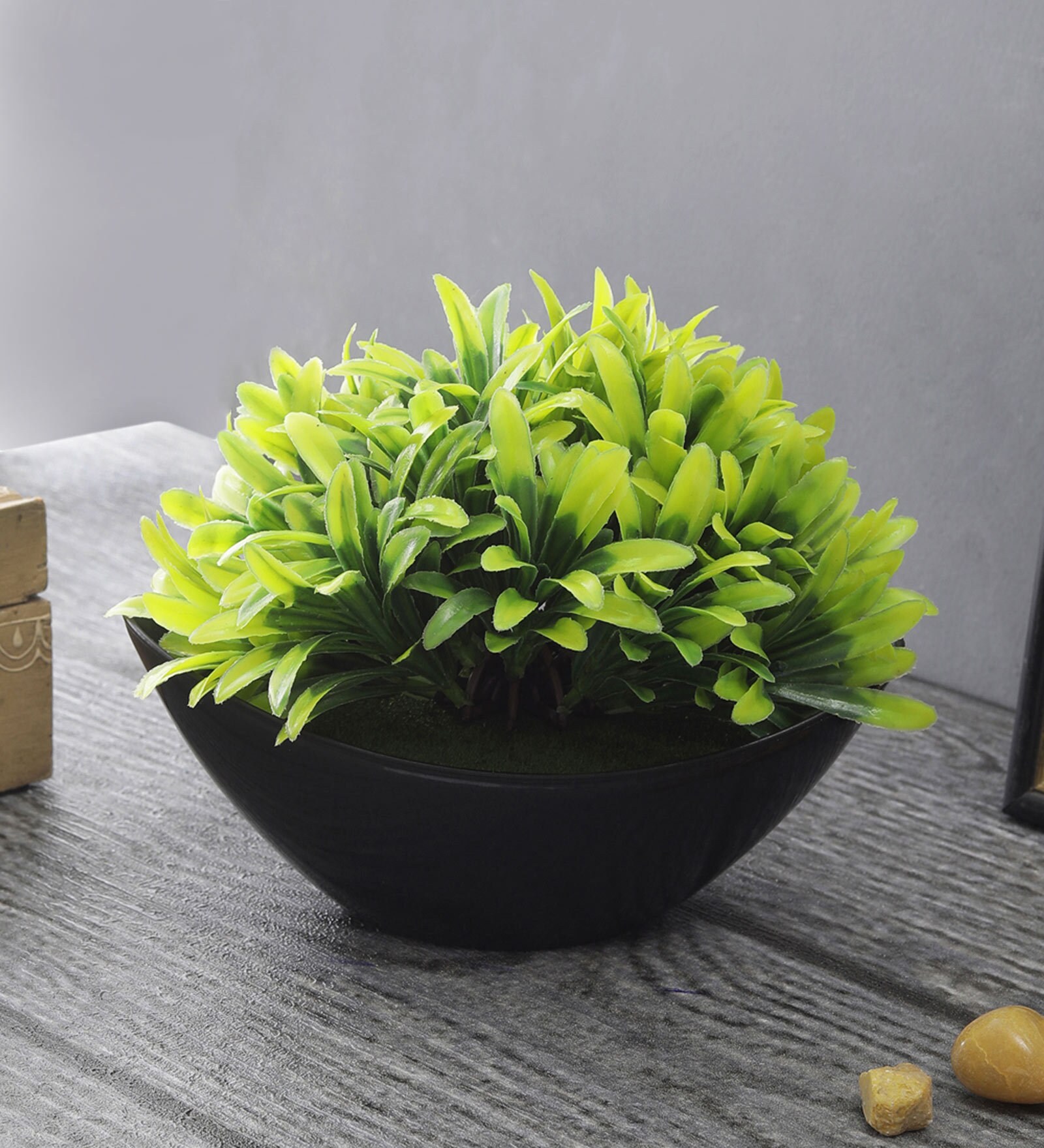 Multicolor Plastic Large Green Leaves Plant with Pot